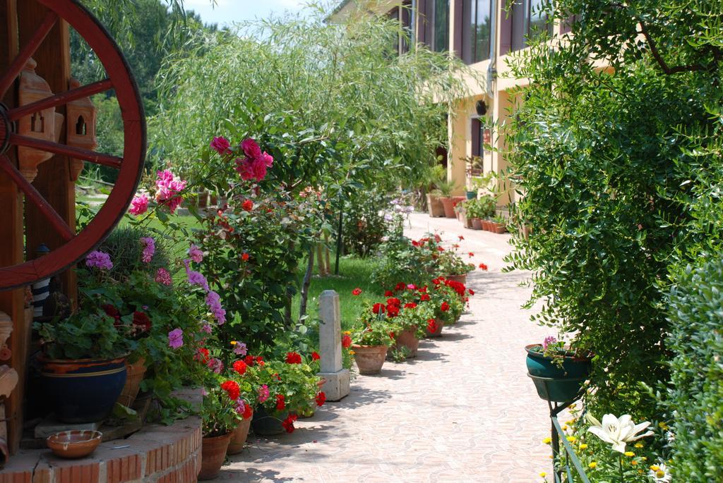 Villa Giulia Islaz المظهر الخارجي الصورة